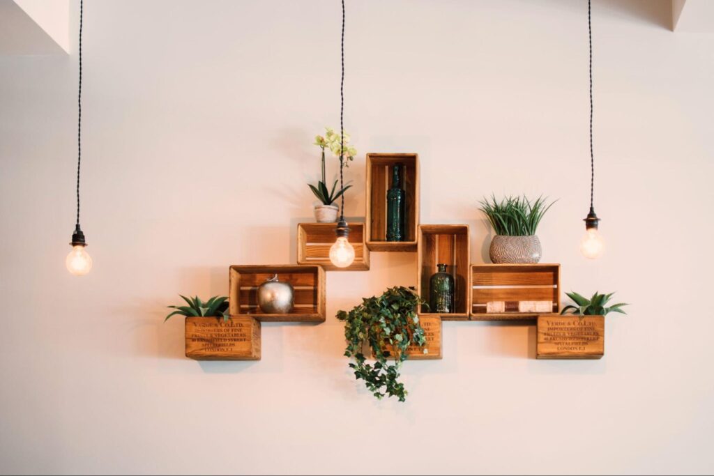 decorare pareti con piante